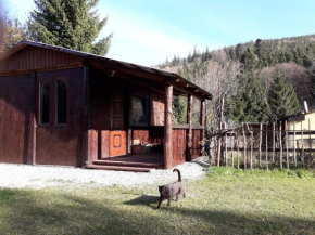 Hotels in Kletno